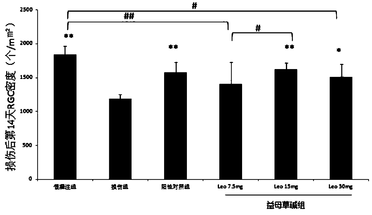 Use of Leonurine in the Preparation of Retinal Optic Nerve Protective Drugs