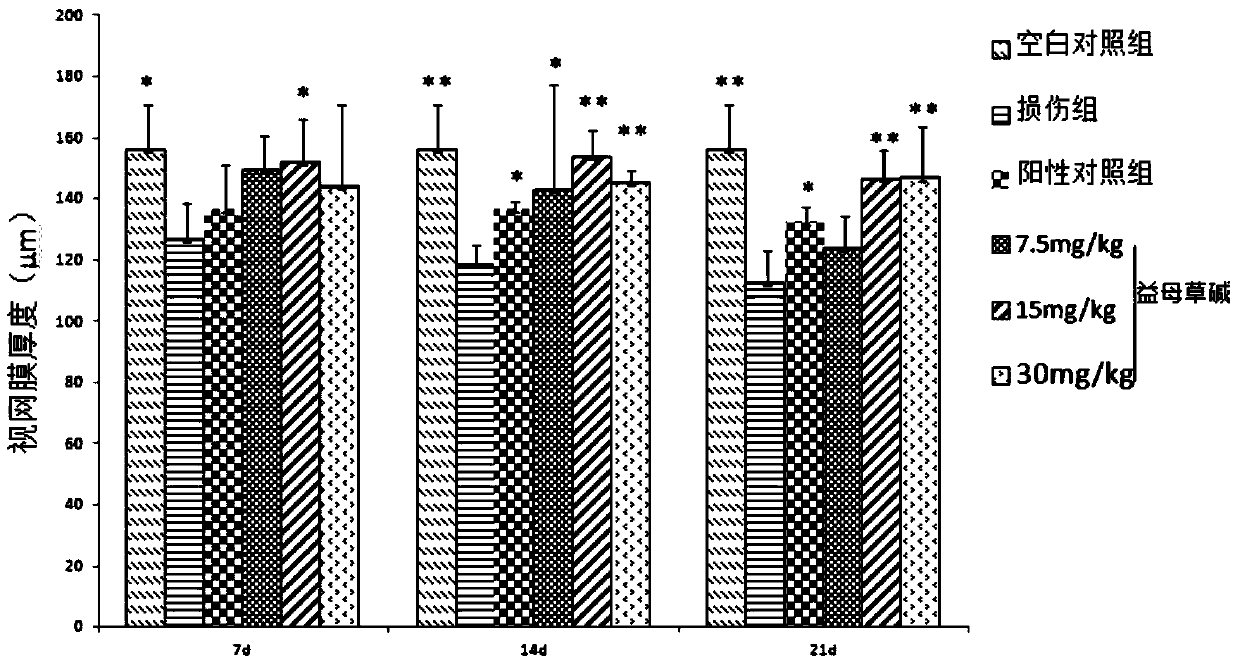 Use of Leonurine in the Preparation of Retinal Optic Nerve Protective Drugs