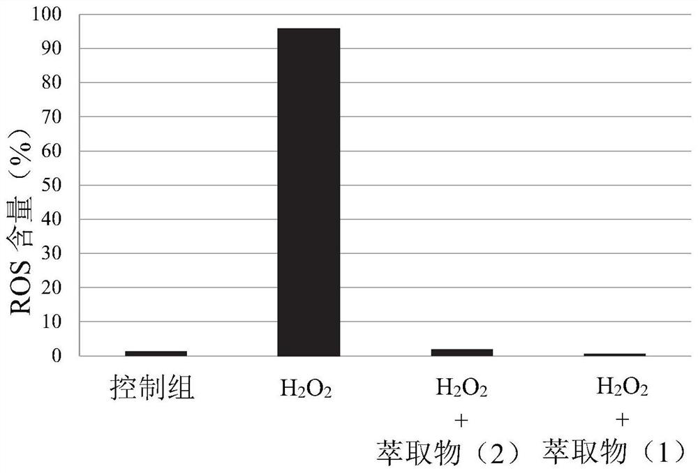 Application of Wuwei Mountain Upi Tea Extract