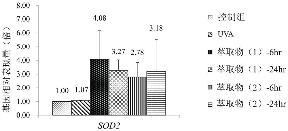 Application of Wuwei Mountain Upi Tea Extract