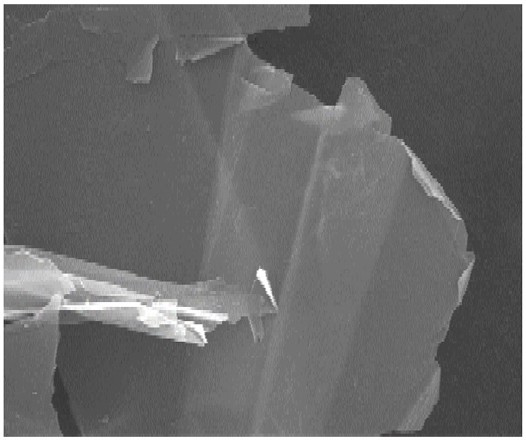 Mercaptobenzene functionalized graphene/copper composite heat-conducting coating and preparation method