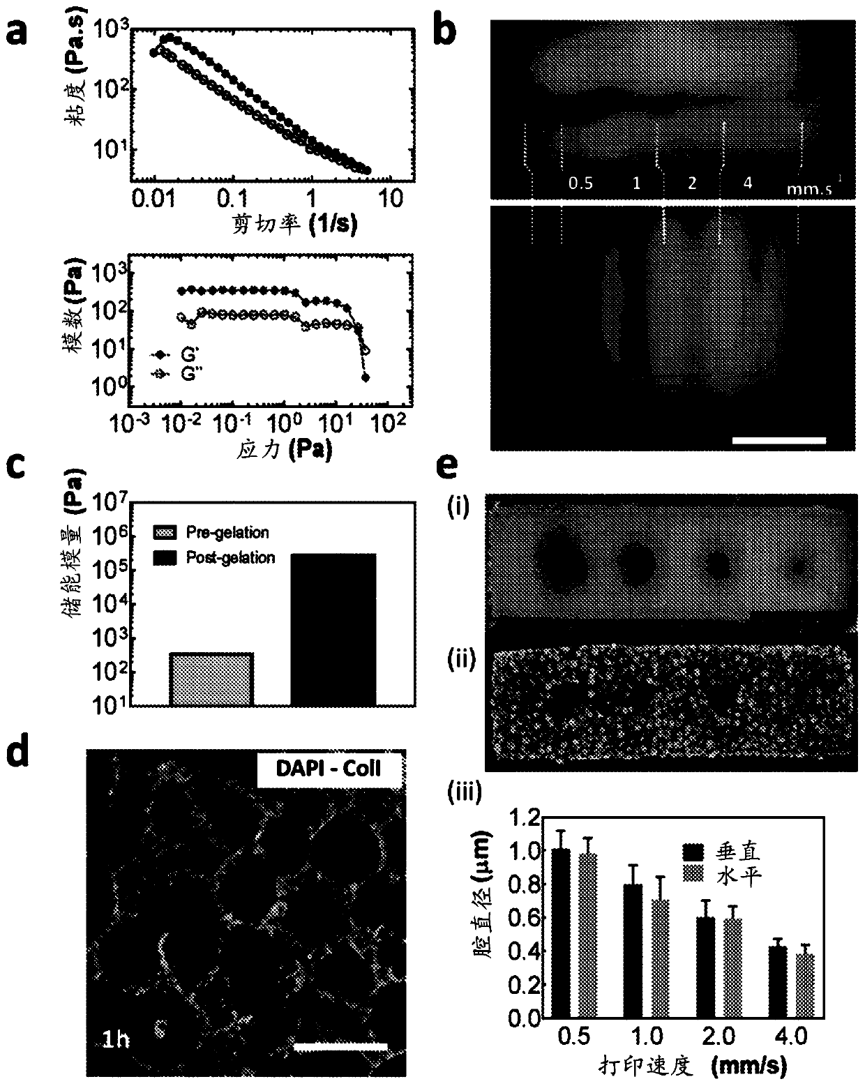 Tissue construct, methods of producing and using the same