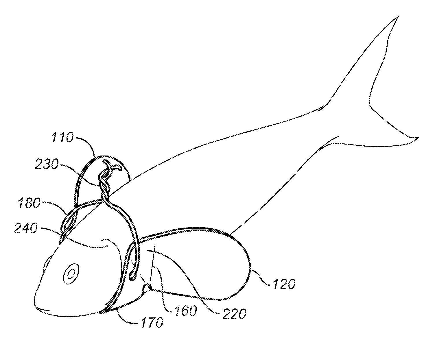 Live and dead bait spinner apparatus