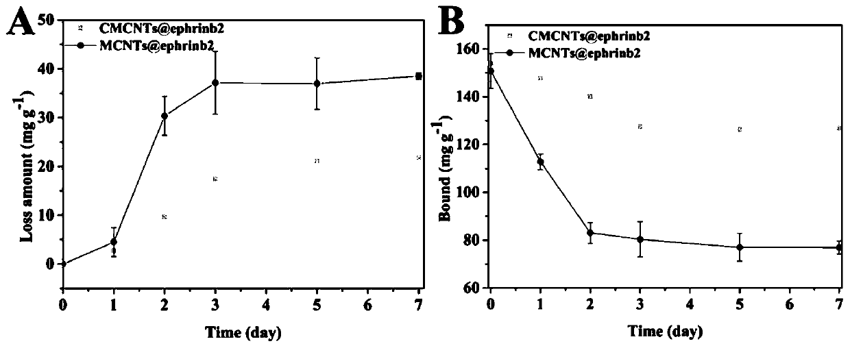 Cell membrane magnetic carbon nanotube drug screening material and preparation method and application