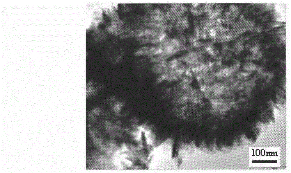 Preparation method for chestnut-shaped copper sulphide hollow micron sphere composed of nanosheets