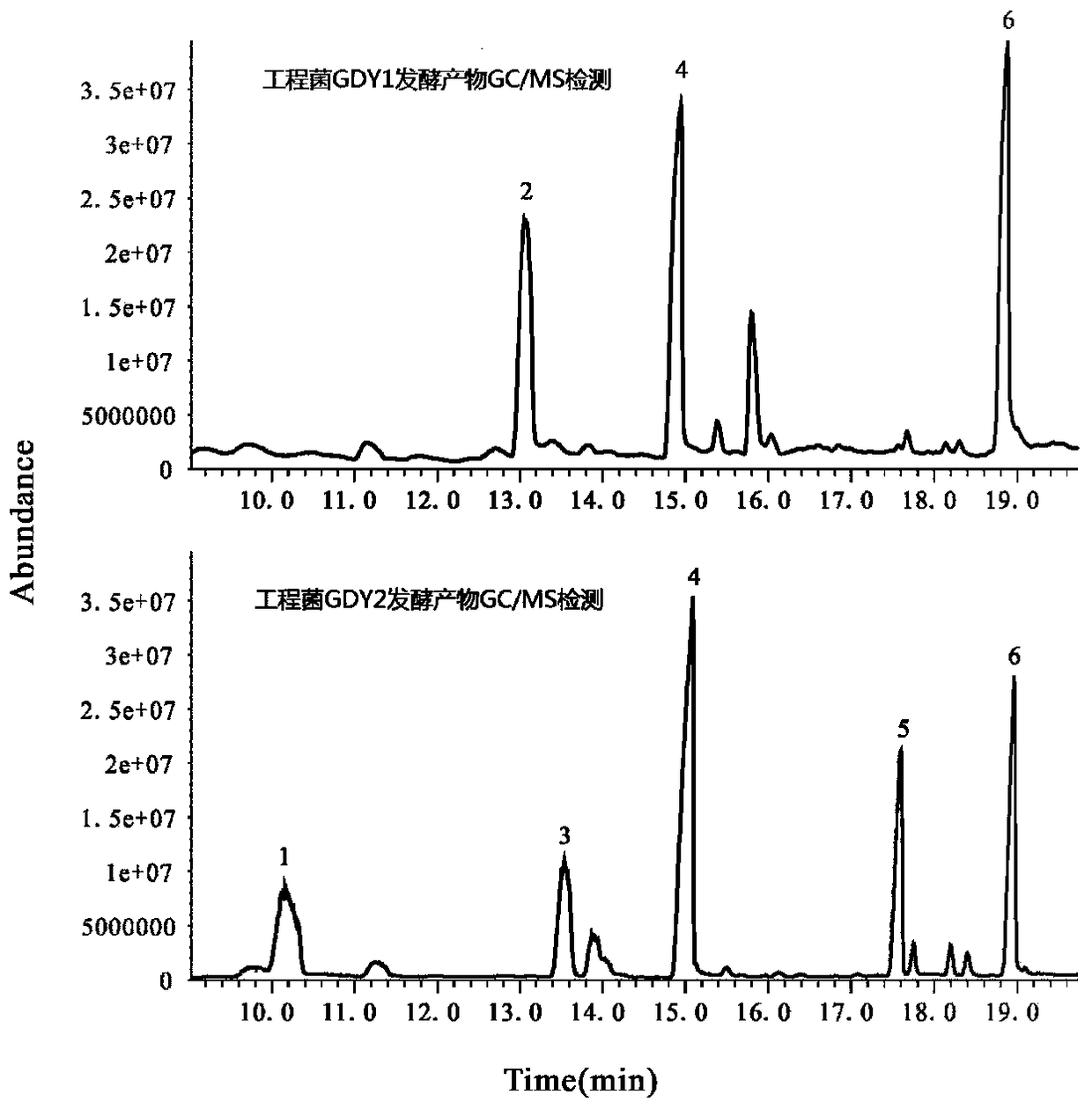 A method for synthesizing fatty alcohol acetate in microorganisms