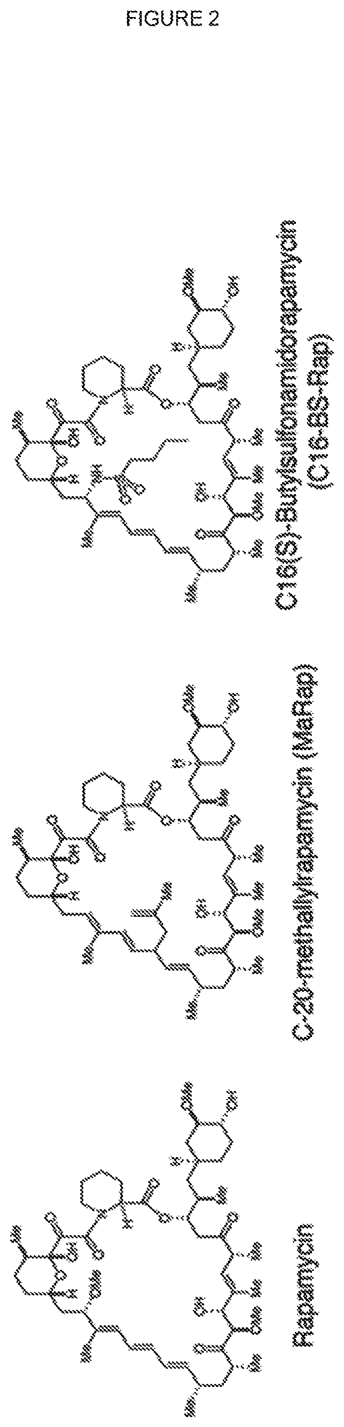 Chimeric antigen receptor (CAR) signalling system