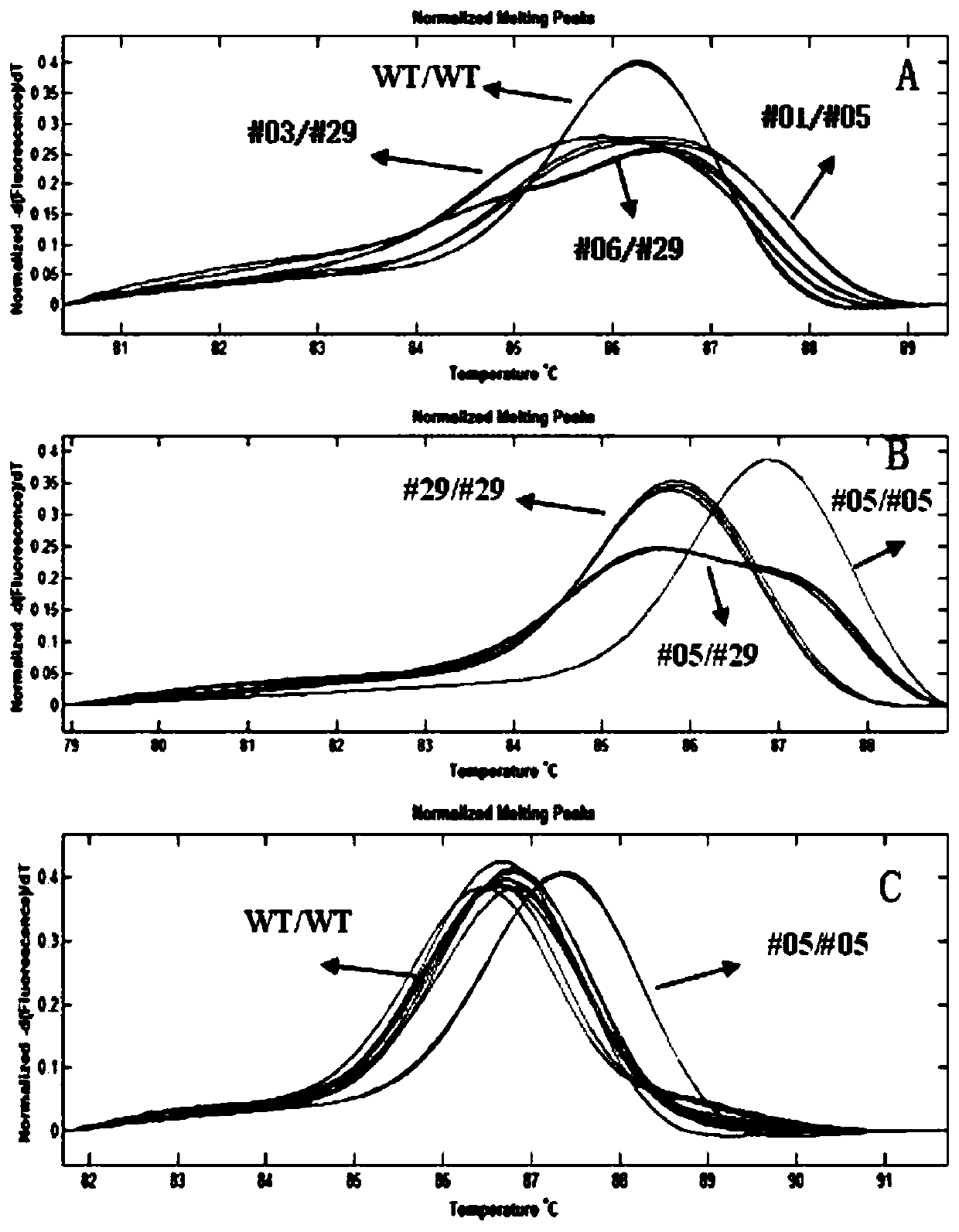 High-resolution-ratio dissolution curve detection method for mutation of OsNramp5 gene specific site