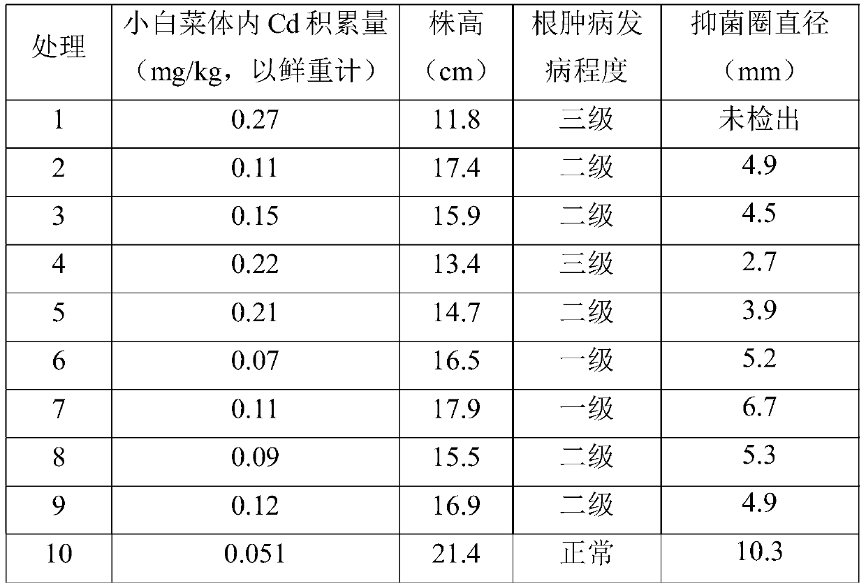 Compound fertilizer special for pakchoi, preparation method and application thereof