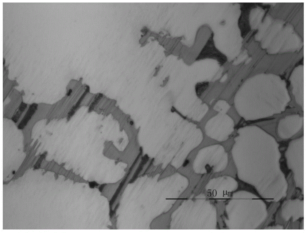 Layered/acicular two-phase composite enhanced rare earth magnesium alloy and preparation technology thereof