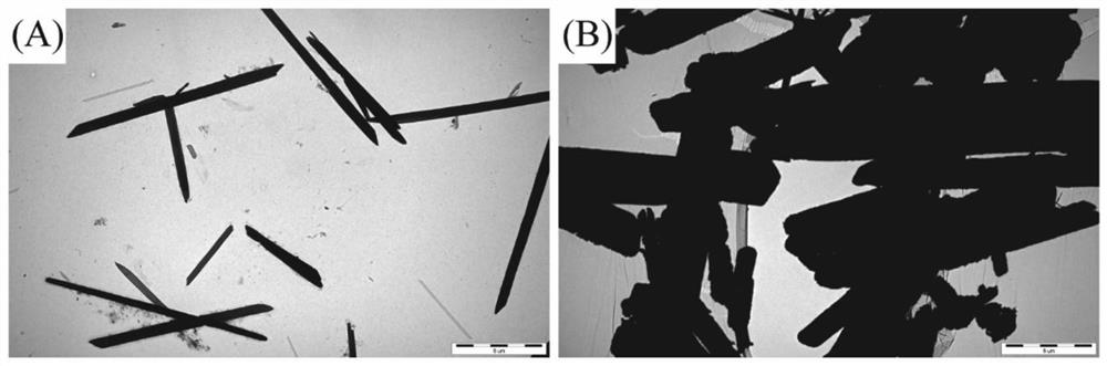 A kind of strontium α-calcium sulfate hemihydrate/nano silver/ginsenoside-loaded sodium alginate microsphere bone substitute material and preparation method thereof