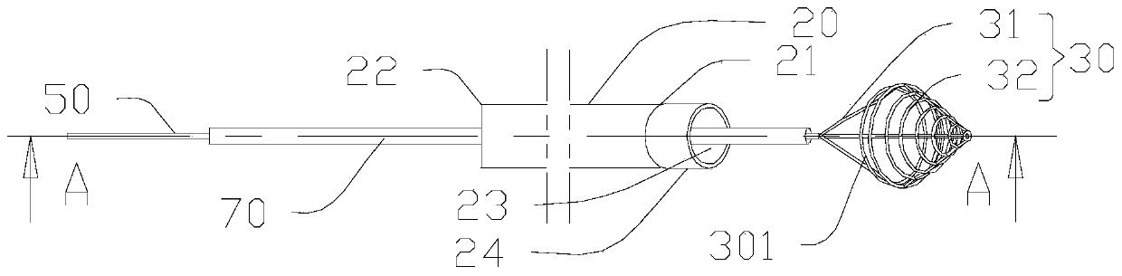 Cancer embolus taking apparatus