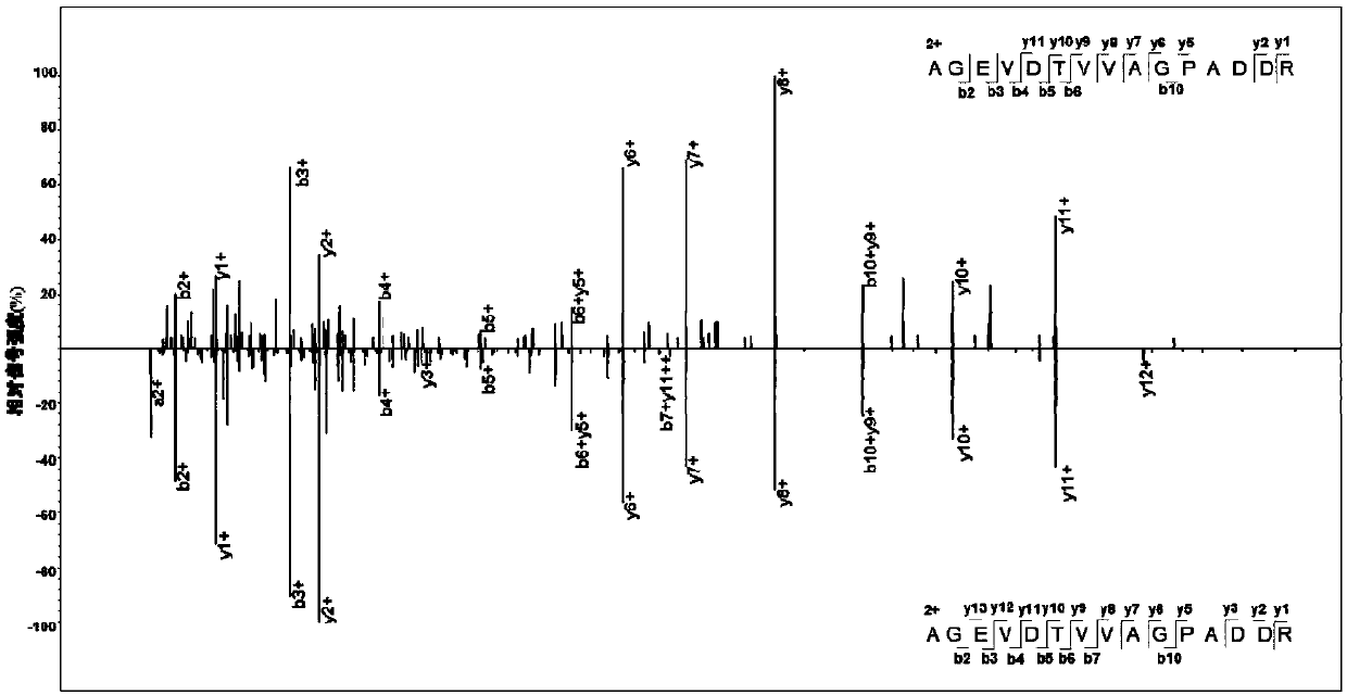 Mycobacterium tuberculosis H37Rv coding gene and application thereof