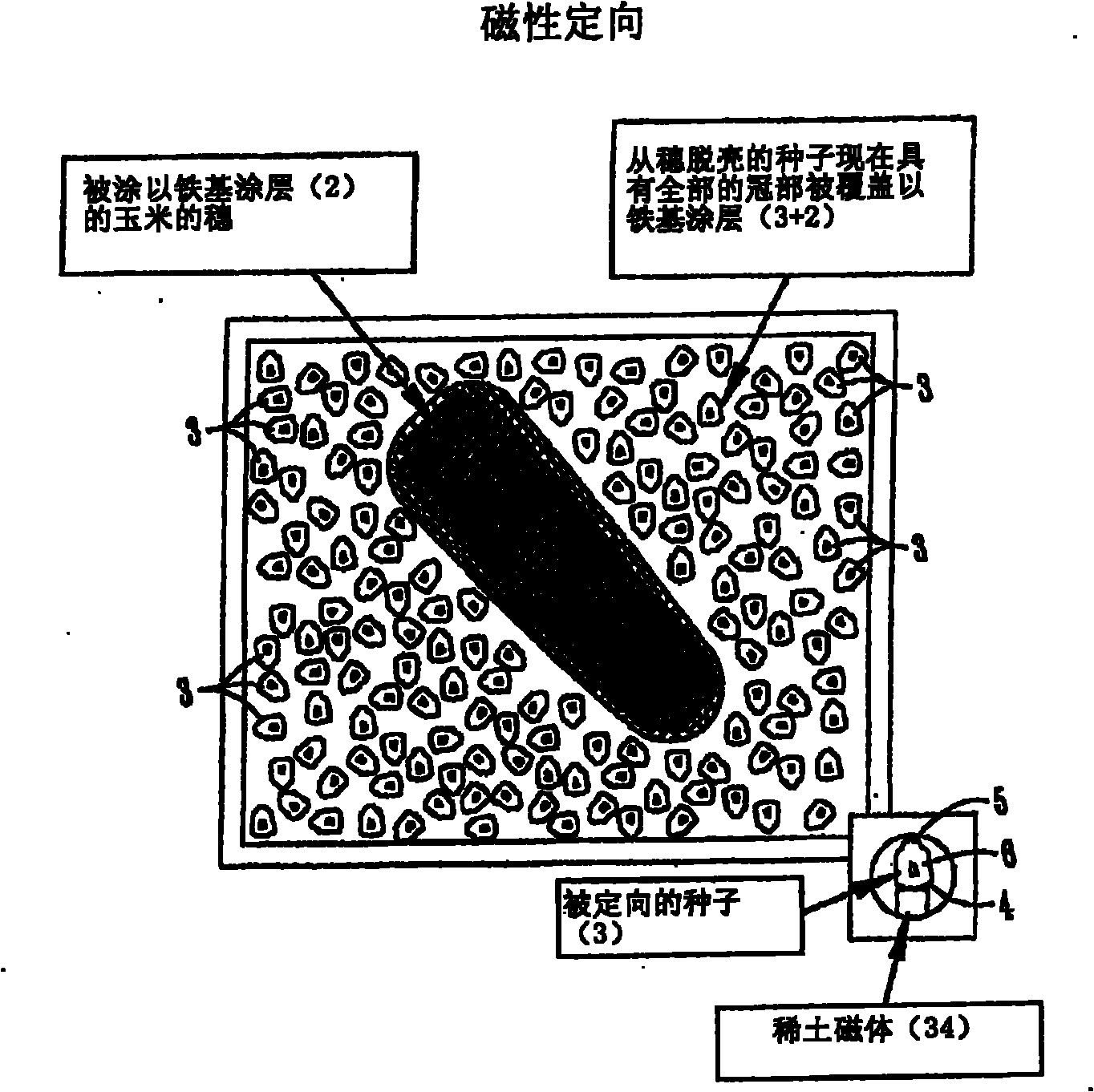 Method and processe for orientating, sampling and collecting seed tissues from individual seed