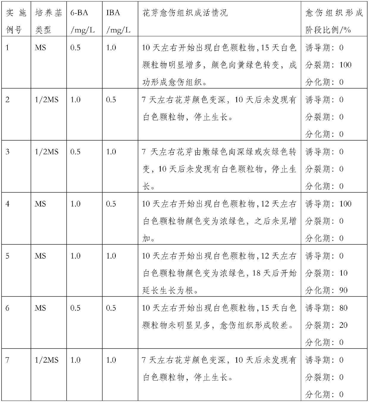 Method for inducing formation of callus by using overwintering flower buds of lonicera fragrantissima