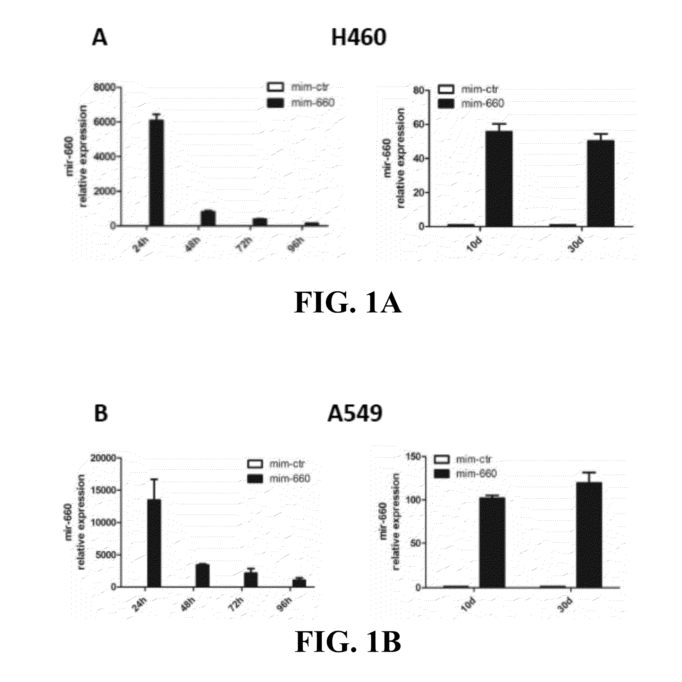 Lung cancer diagnostics and therapeutics with mir-660