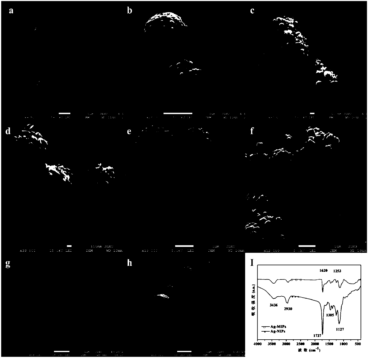 Preparation method and application of molecular imprinted sensor with SERS (Surface Enhanced Raman Scattering) activity