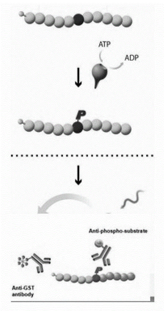 Compounds with MEK inhibitory function and their preparation methods and applications