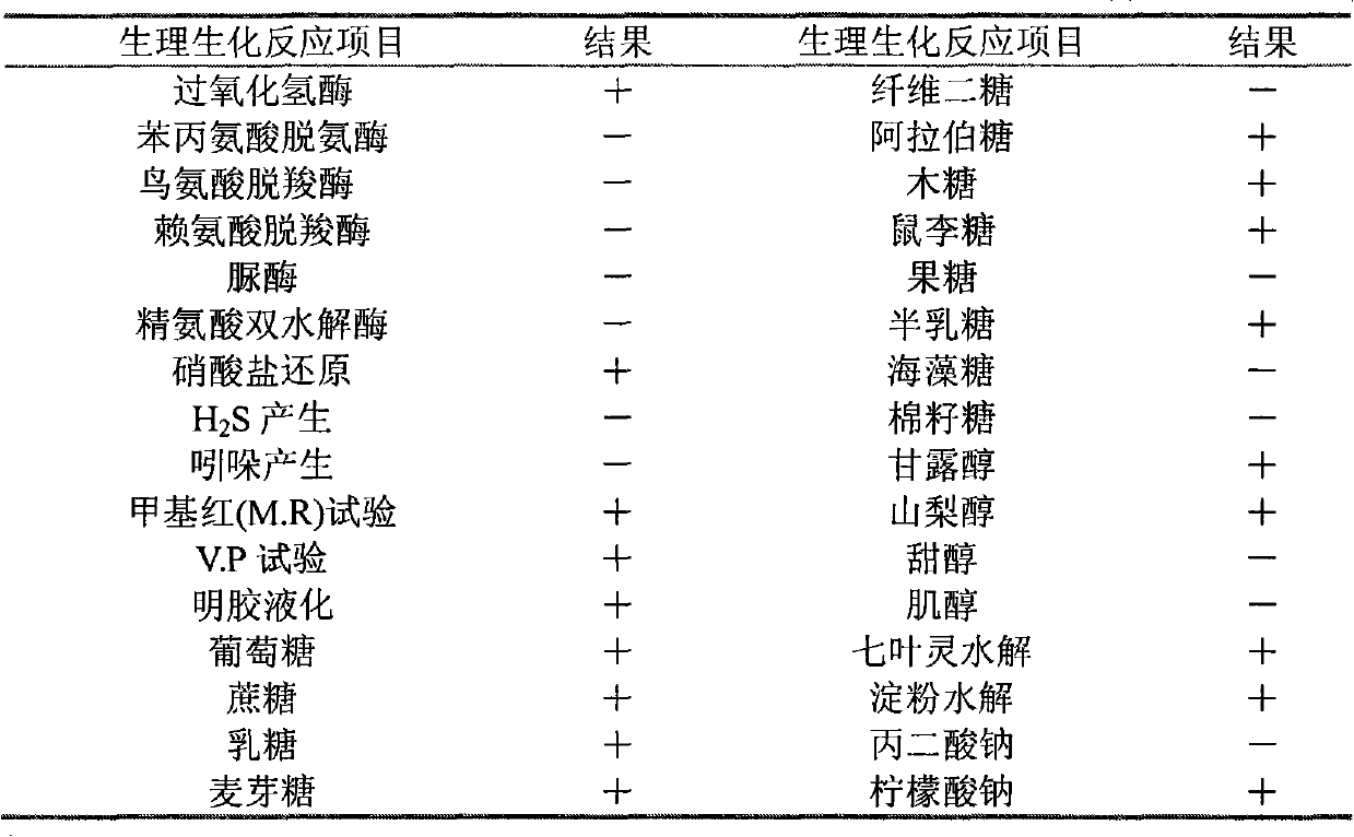 Bacillus subtilis and application thereof