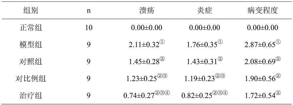 A traditional Chinese medicine composition for treating ulcerative colitis and eczema, its preparation method and application