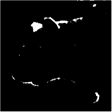 Image Enhancement and Abstraction Method Based on Anisotropic Filtering