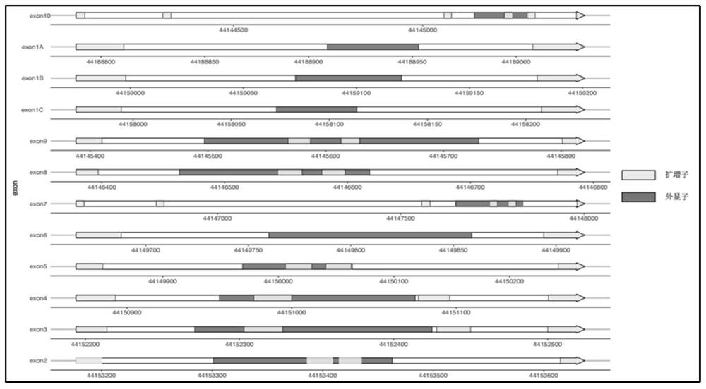 Method for detecting GCK-MODY gene mutation and kit for method