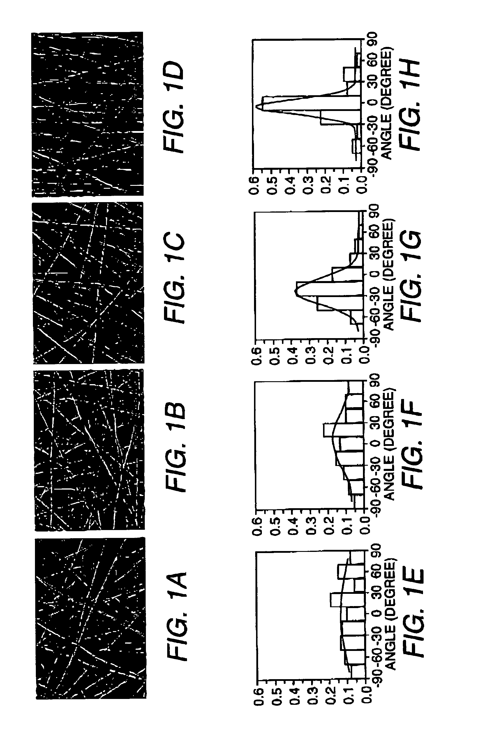 Aligned scaffolding system for skeletal muscle regeneration