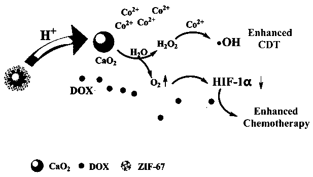 CaO2@DOX@ZIF-67 nanometer material and preparation method and application thereof