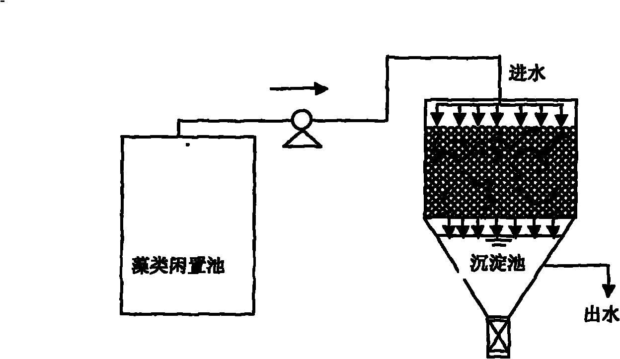 Method for removing algae in water by using earthworms