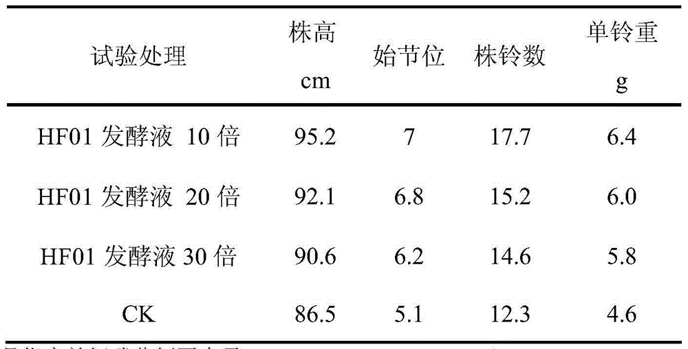 Salt-tolerant trichoderma pleuroticola strain and application thereof