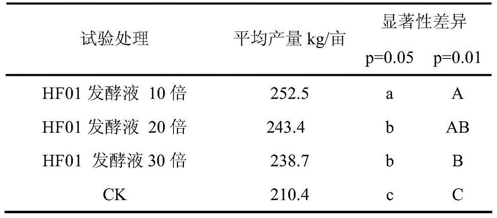 Salt-tolerant trichoderma pleuroticola strain and application thereof