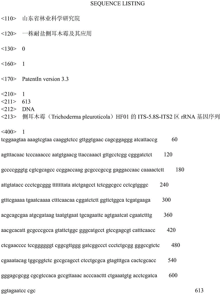 Salt-tolerant trichoderma pleuroticola strain and application thereof