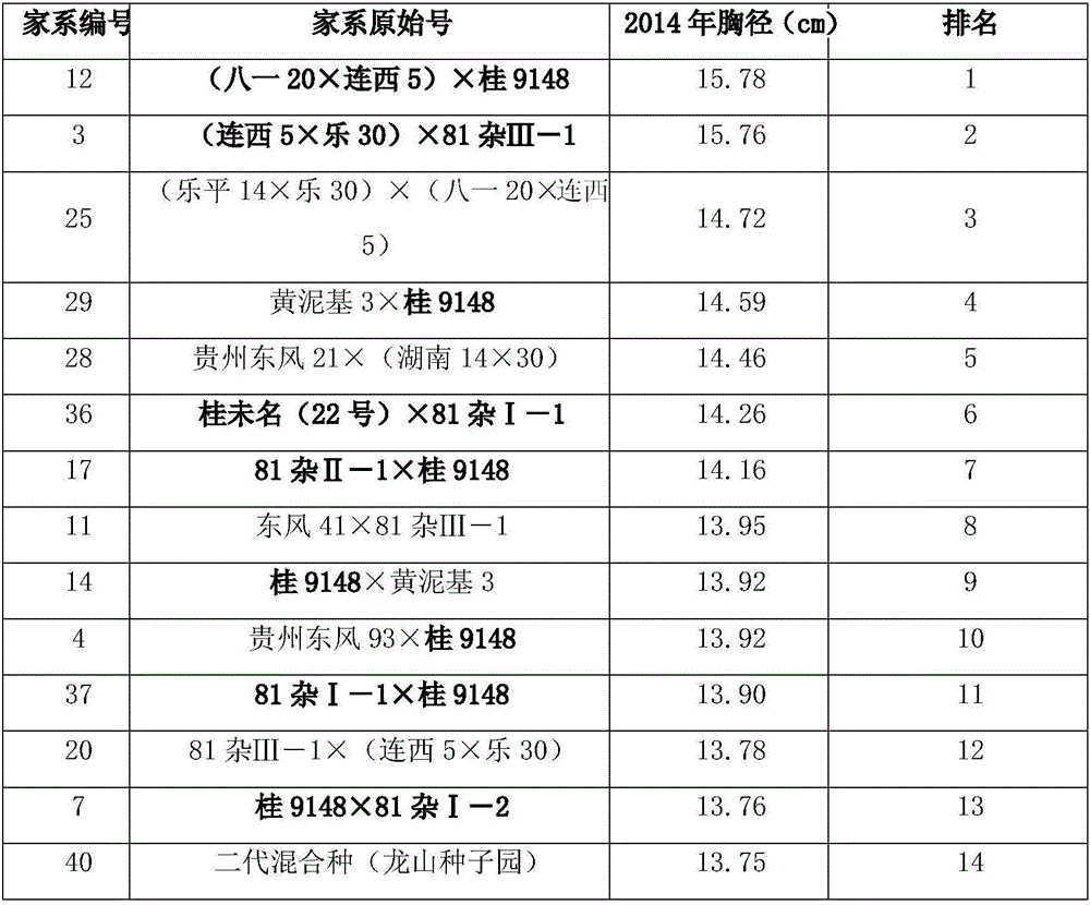 Method for promoting high and stable yield of cunninghamia lanceolata seed orchard