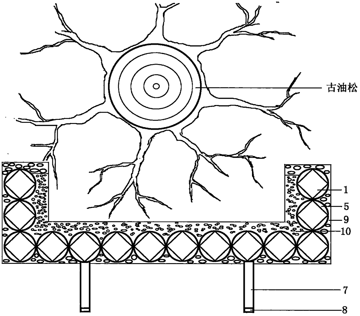 Device and method beneficial to water and soil conservation at roots of ancient Chinese pines growing in slope and adjustment of water, gas and fertilizer in soil