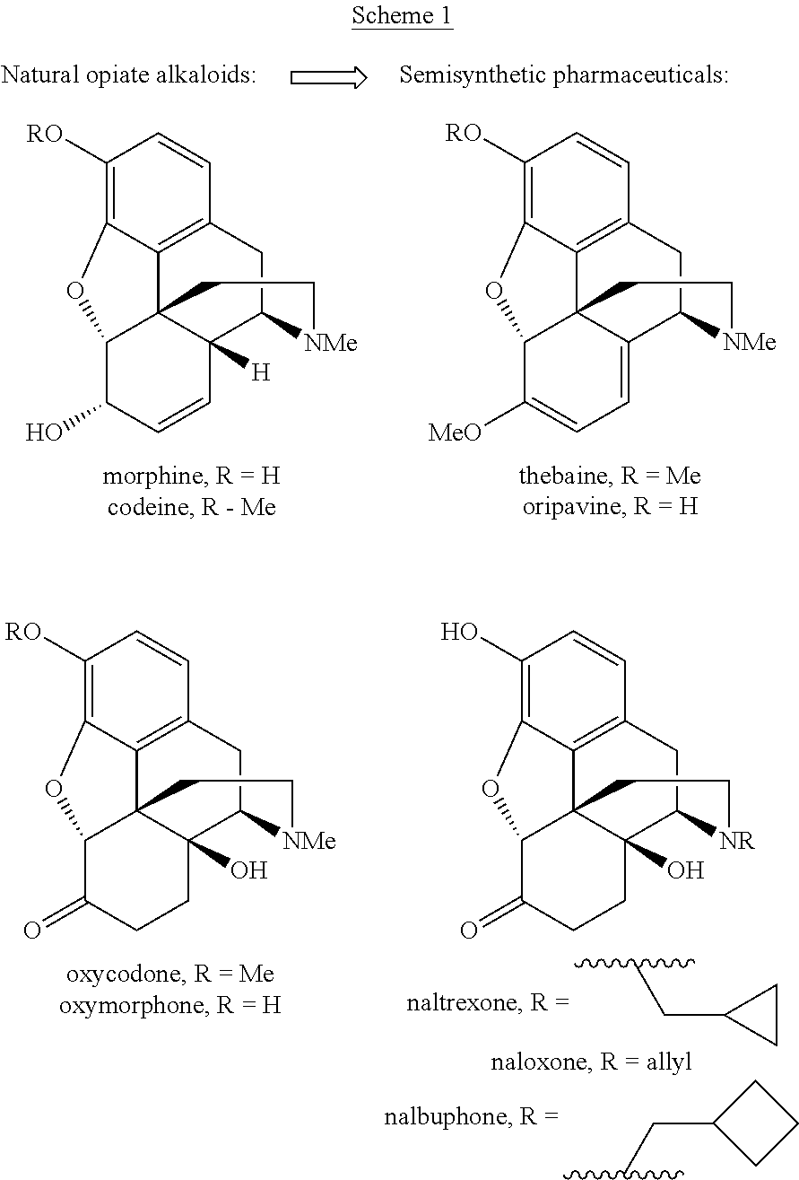 Process for the preparation of morphine analogs via metal catalyzed n-demethylation/functionalization and intramolecular group transfer