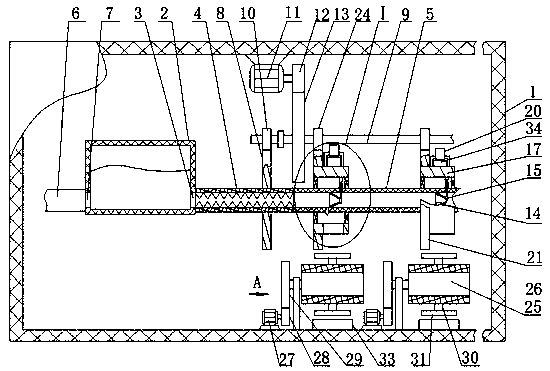 Detection device for schizothorax fish cell variability