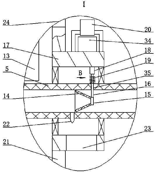 Detection device for schizothorax fish cell variability