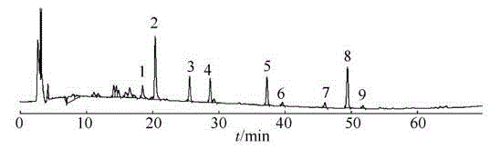 Extract of potentilla anserina rhizome and medical application thereof