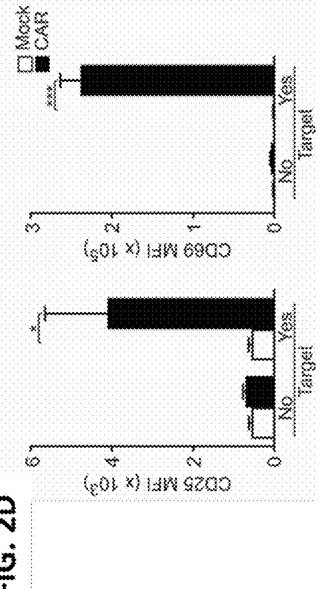 Blockade of cd7 expression and chimeric antigen receptors for immunotherapy of t-cell malignancies