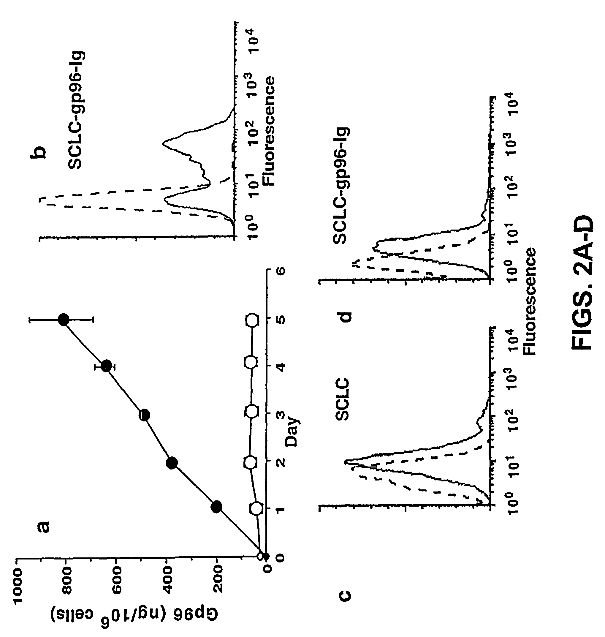 Recombinant cancer cell secreting modified heat shock protein-antigenic peptide complex