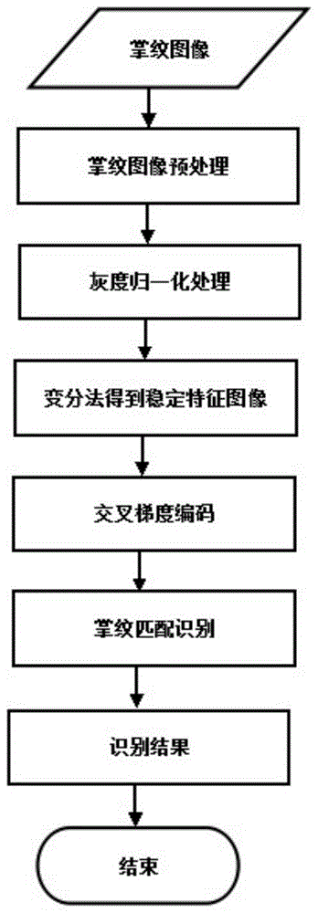 A Palmprint Recognition Method Based on Cross Gradient Coding with Stable Feature Image