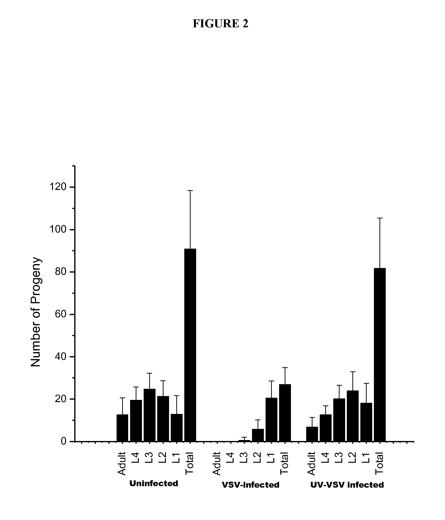 Development of a simple animal model for infection by viruses and other obligate intracellular parasites