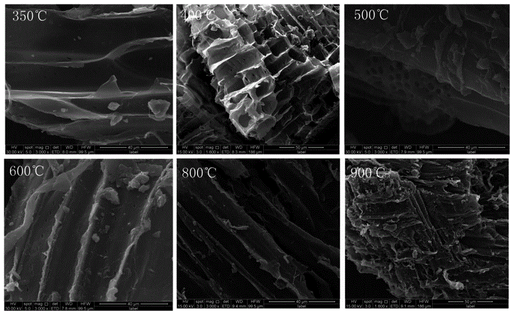 Preparation method for biomass charcoal anti-schistosoma cercaria slow-release pharmaceutical preparation