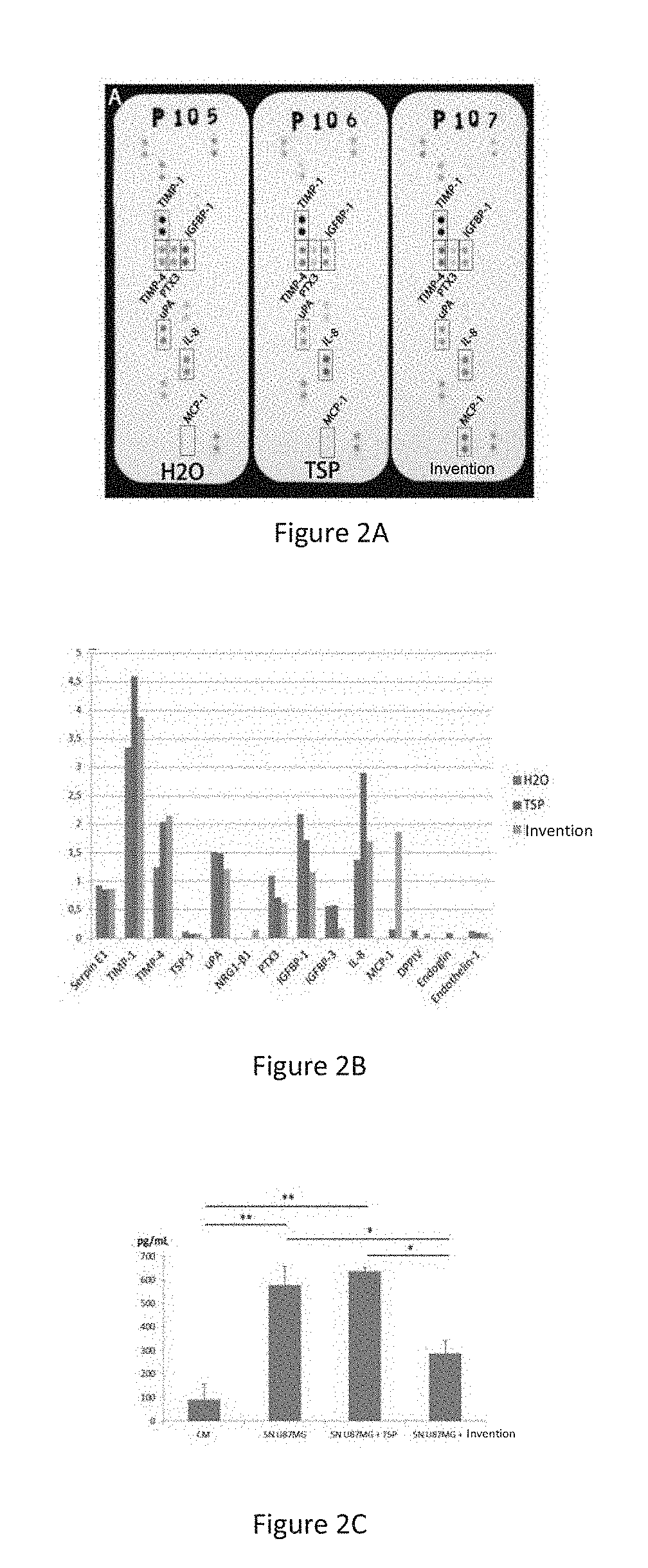 Specific oligopeptides as Anti-angiogenic drugs