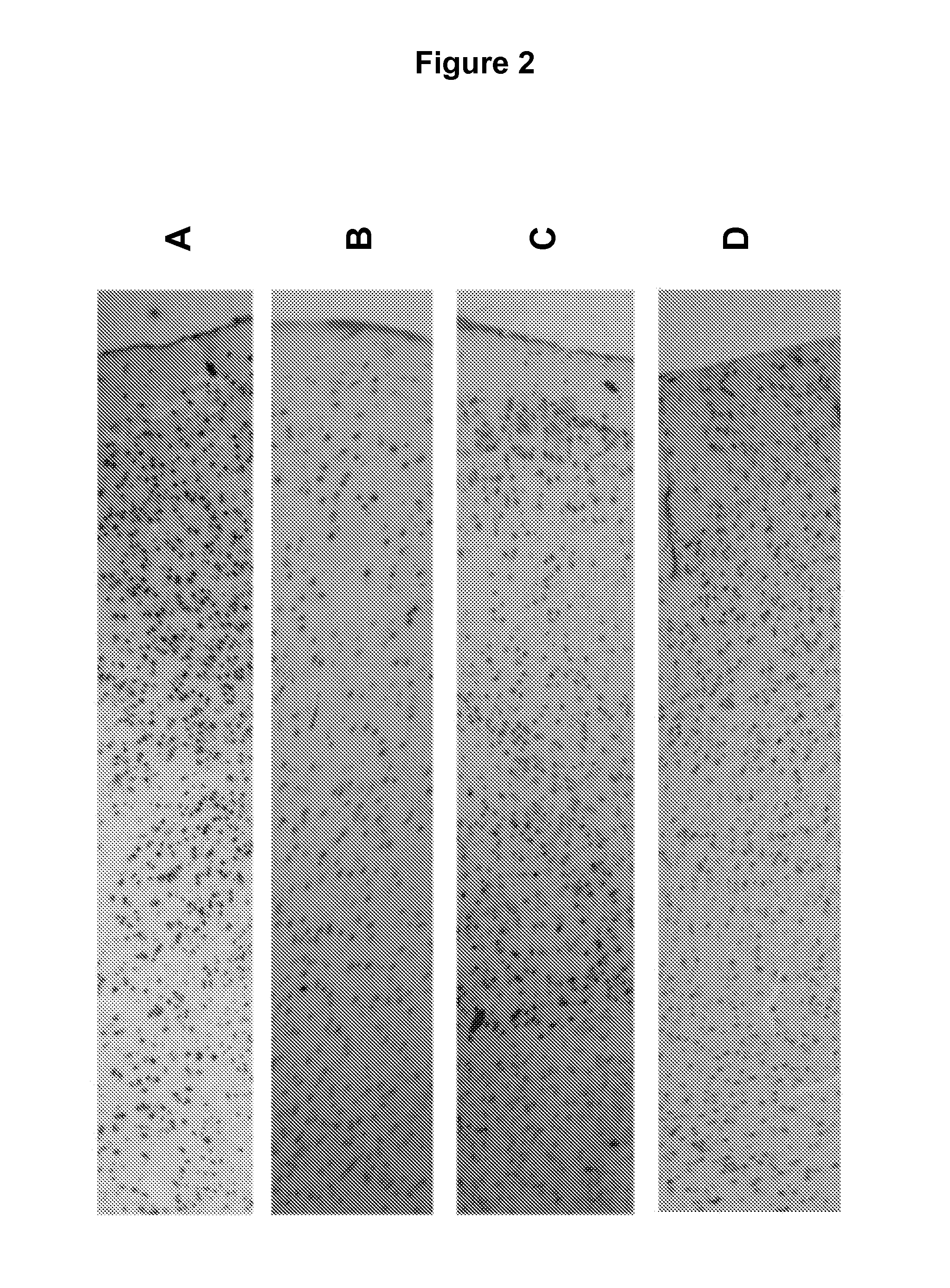 Stabilization method for biological samples by combination of heating and chemical fixation