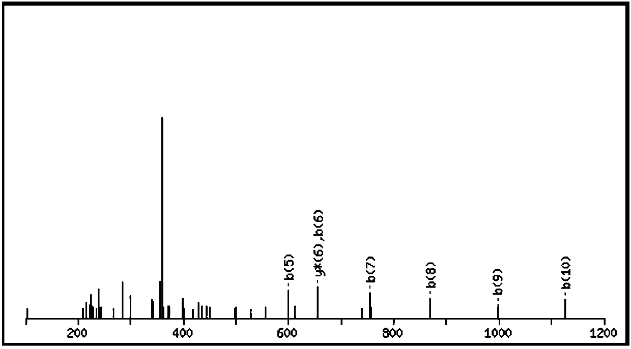 Bioactive polypeptide KEPMIGVNQELA as well as preparation method and application thereof