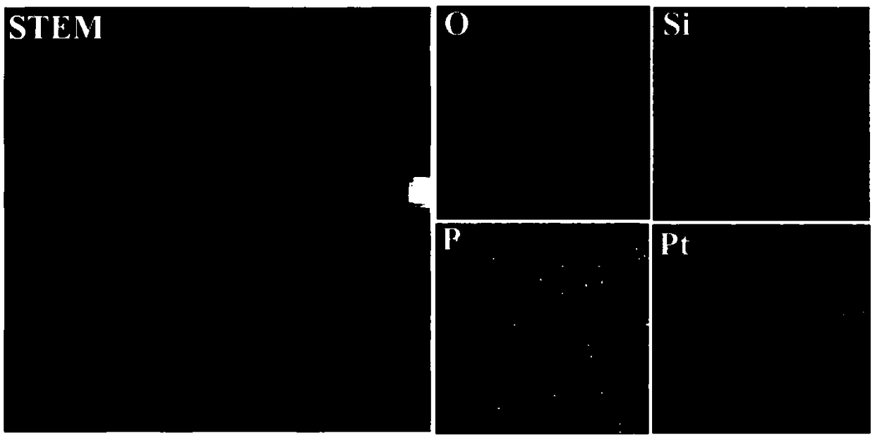 Black phosphorus quantum dot/platinum hybrid mesoporous silica nanoparticles and preparation method and application thereof