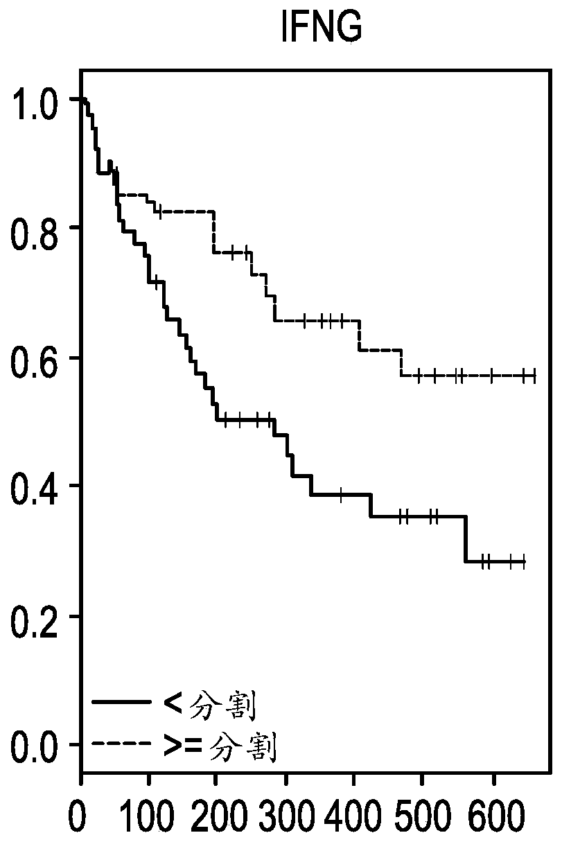 Compositions and methods for characterizing solid tumors responsiveness to Anti-pd-l1 antibody monotherapy