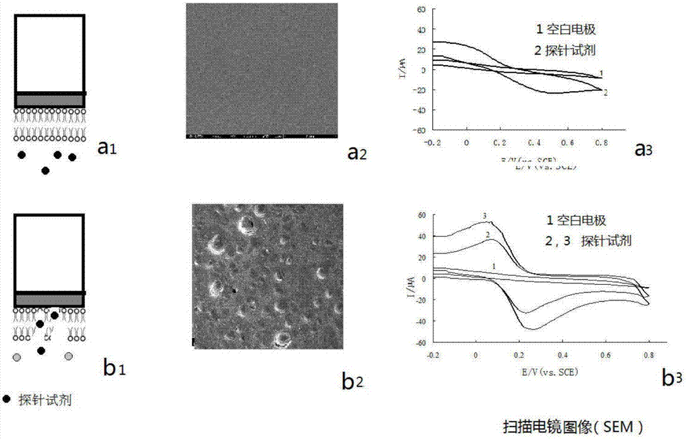 Method for determination of free radical over-oxidative capacity of environment