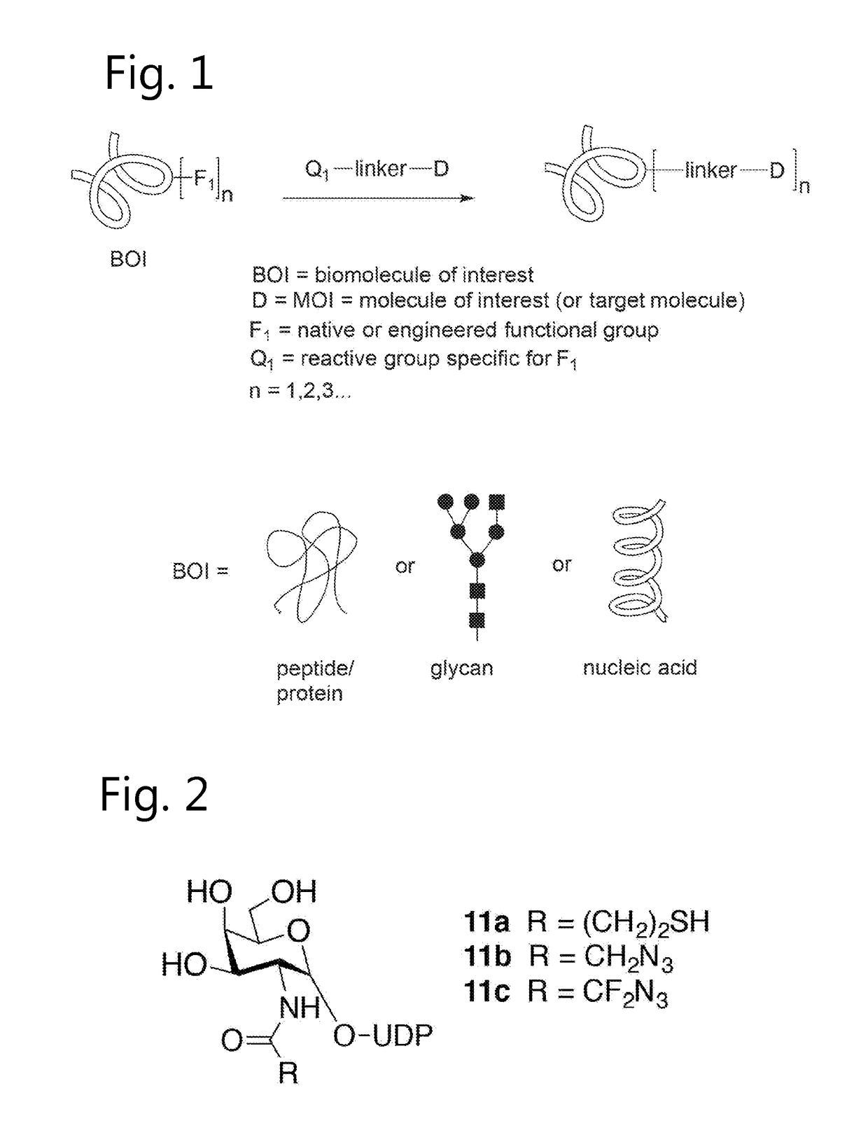 Sulfamide linker, conjugates thereof, and methods of preparation